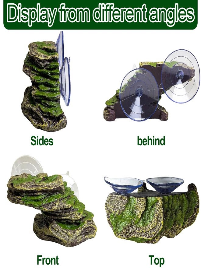 كاثسون منصة تشمس السلاحف من كاثسون، منحدر تسلق السلاحف من الصخر الزيتي مع أكواب شفط، ملحقات أحواض السلاحف المائية للسلاحف المائية والضفادع - Image 4